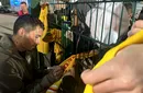 Nebunia de la miezul nopții. Tricolorii, asaltați de fani pentru autografe și fotografii, după victoria din San Marino