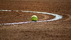 Cum să alegem cea mai bună casă de pariuri