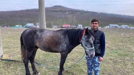 Cătălin Moroșanu despre viața lui Sergiu căruia i-a strâns bani de casă după ce și-a dus soția la spital călare pe cal! „Nu-l învinuiesc pe el, mulțumesc românilor simpli" | VIDEO EXCLUSIV
