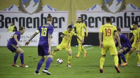 Presa suedeză ne-a taxat: "Anul trecut, erau 9,8 milioane de oi în România, iar ieri cineva le-a dat drumul să pască pe stadion"