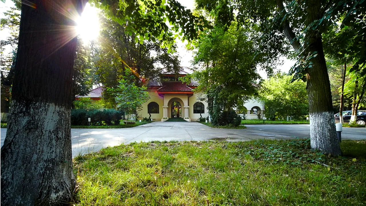 (P) Green City, casa campionului Mihai Stoica