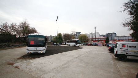 "Câinii" s-au ascuns de furia fanilor!