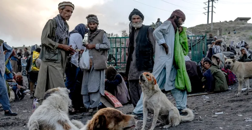 Iadul drogurilor din Kabul. Câinii au ajuns să fie dependenți de heroină, iar cadavrele afganilor supradotați sunt împrăștiate pe străzi