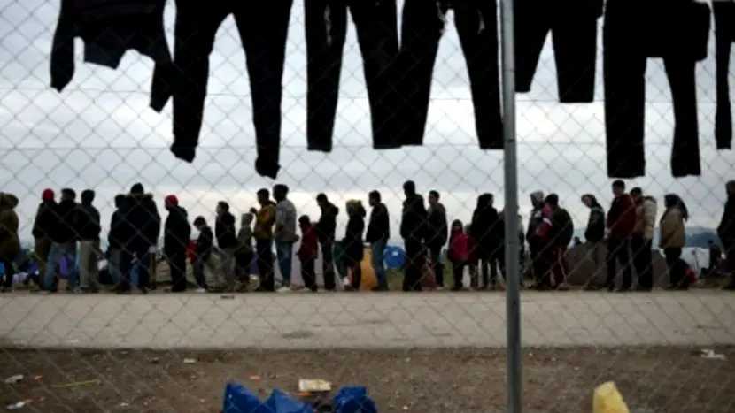 92 de refugiați au fost găsiți în pielea goală la granița greco-turcă.  O rușine pentru civilizație