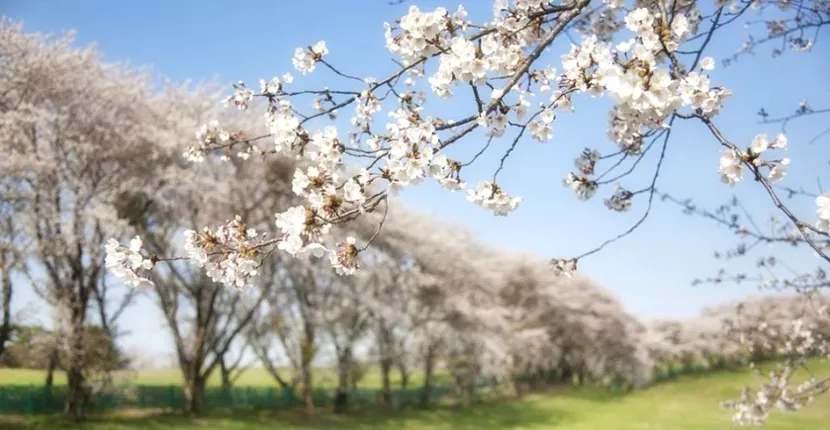 Prognoza meteo 8 mai 2020: valorile termice încep să crească ușor