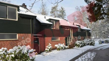 FOTO EXCLUSIV Așa e așteptată Steaua în Olanda, cu patru zile înainte de meciul cu Ajax! Cum va reacționa "Reghe Meister" când va vedea asta?