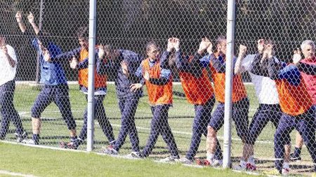 Haos la Steaua!