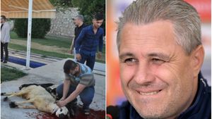 FOTO | Jucătorii lui Gazișehir Gaziantep au sacrificat o oaie, chiar sub ochii lui Șumudică! S-a mânjit cu sânge pentru a avea noroc