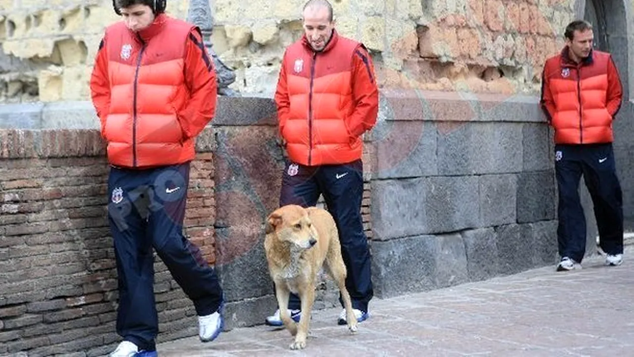 FOTO** Steliștii, urmăriți de câini și în Napoli! :)