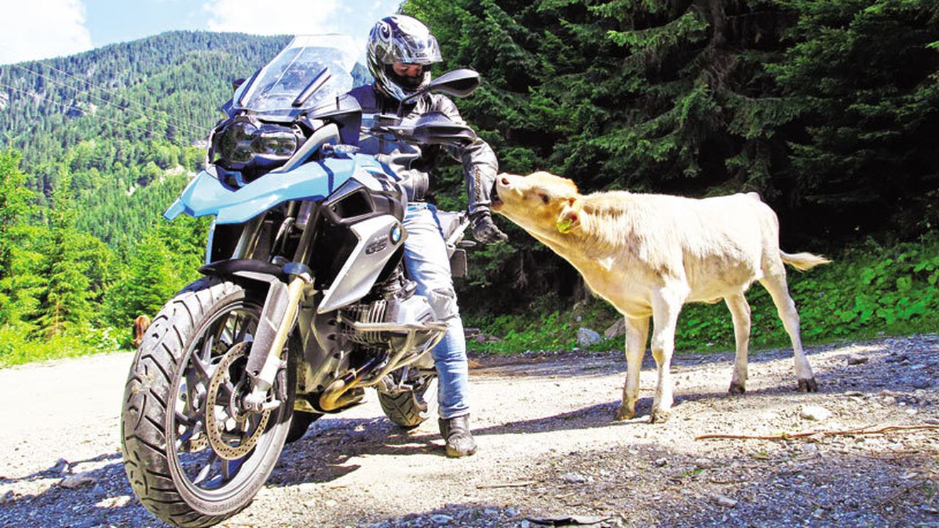 Long Live the Queen! BMW R 1200 GS e regina clasei enduro-touring în moto
