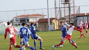 "Câinii" l-au enervat pe Borcea! **