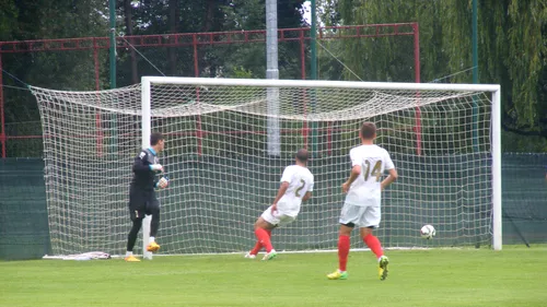 Cu Videoton, invers decât cu Maribor! Șumudică, la primul eșec pe banca giurgiuvenilor: Astra - Videoton 0-3