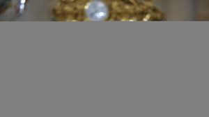 EXCLUSIV | Cum a ajuns Teja să preia FCSB: "La nivelul antrenorului, are o putere mare". Cine l-a influențat pe Becali în privința deciziei. Dezvăluirile unui fost angajat 