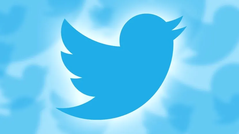 Angajații Twitter pot lucra de acasă pe timp nelimitat