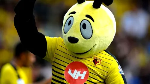 VIDEO | Mascota lui Watford a făcut spectacol de Boxing Day. Cum a reacționat Big Sam! 