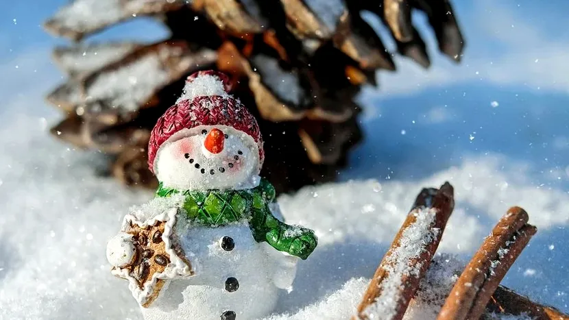 Alertă meteo de la ANM! A fost emis un nou cod galben de ninsori și viscol. Cum va fi vremea de 1 Decembrie