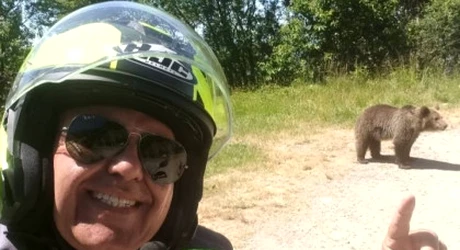 Ce se întâmplă cu puii ursoaicei care a ucis un italian pe Transfăgărășan. MMAP, anunț de ULTIMĂ ORĂ!