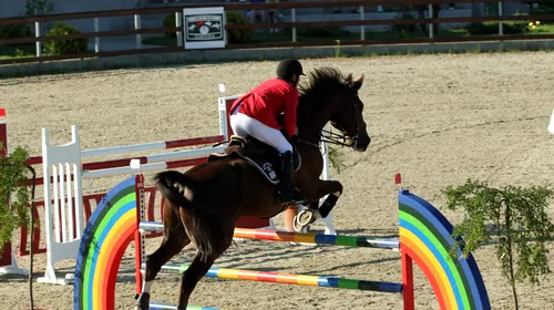 Peste 170 de cai din Europa înscriși la competițiile din cadrul Salonului Calului 2012