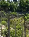 Imagini dezolante de la stadionul din Brăila! ”Se apropie de soarta Municipalului din Bacău!” VIDEO