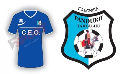 CS Pandurii Târgu Jiu 2013 - 2014: informații generale, lotul de jucători, transferuri și echipa tip