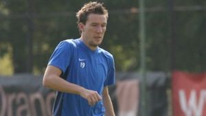 "Nemții percep "Cazul Valiza" ca pe un act de corupție"