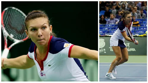 Țarina Simona! Halep a cucerit și Moscova, după finala cu Stosur! Cinci trofee în 2013 pentru româncă