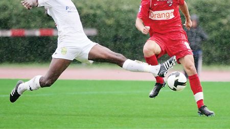 "Câinii" au jumulit „canarii"