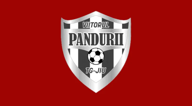EXCLUSIV | Au pus cruce la club! Tribunalul Gorj a decis falimentul clubului Viitorul Pandurii Târgu Jiu. Liga 2 rămâne cu o echipă în minus. Ce se întâmplă cu rezultatele gorjenilor din acest sezon