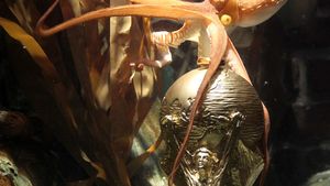 Caracatița Paul, oracolul Cupei Mondiale, a murit!**