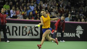 Halep ia în calcul să nu se prezinte la Jocurile Olimpice: "Sănătatea mea e mai importantă!" Simona, îngrijorată de virusul Zika