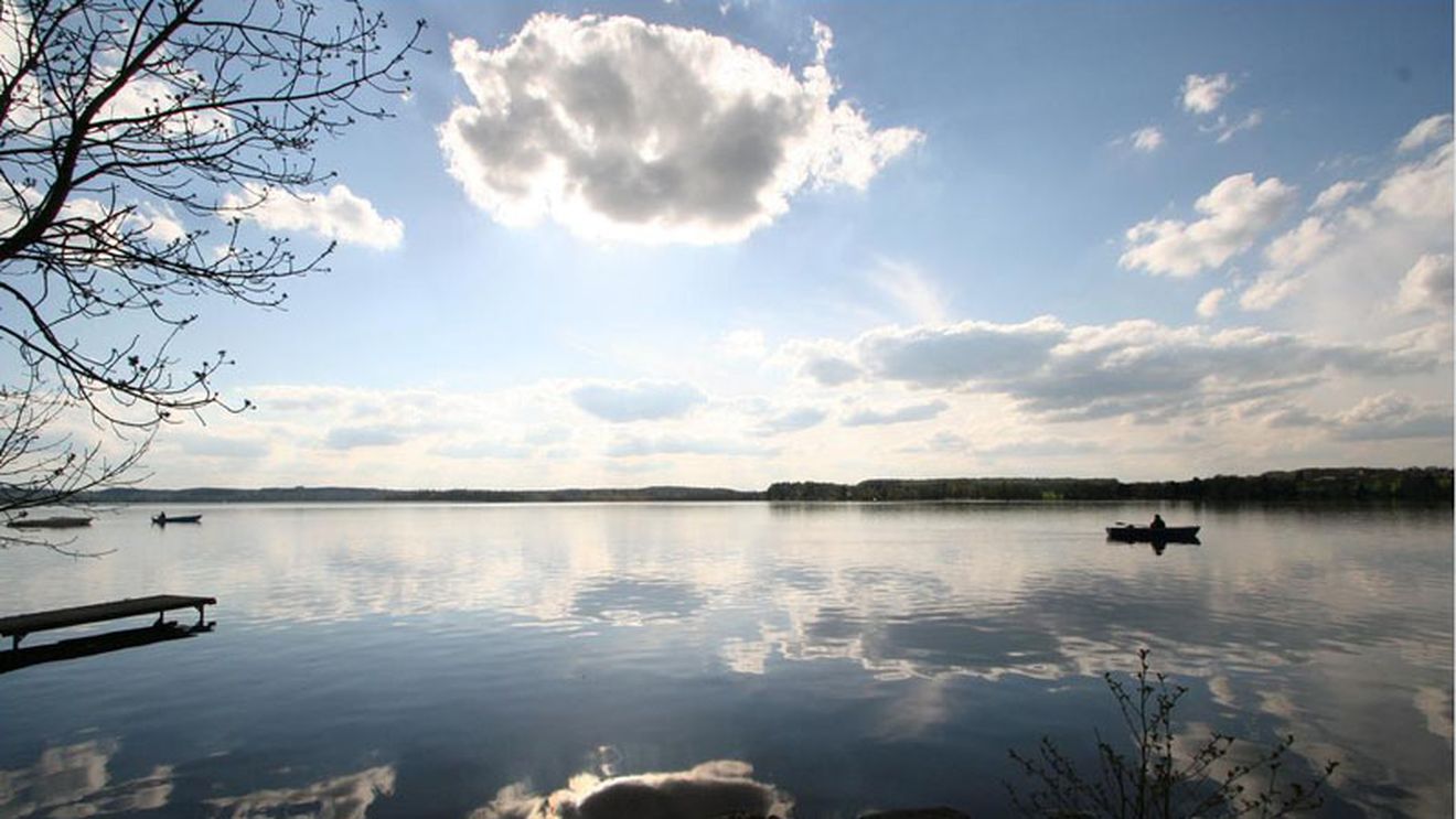 Să fii Al Pacino pentru o singură zi...