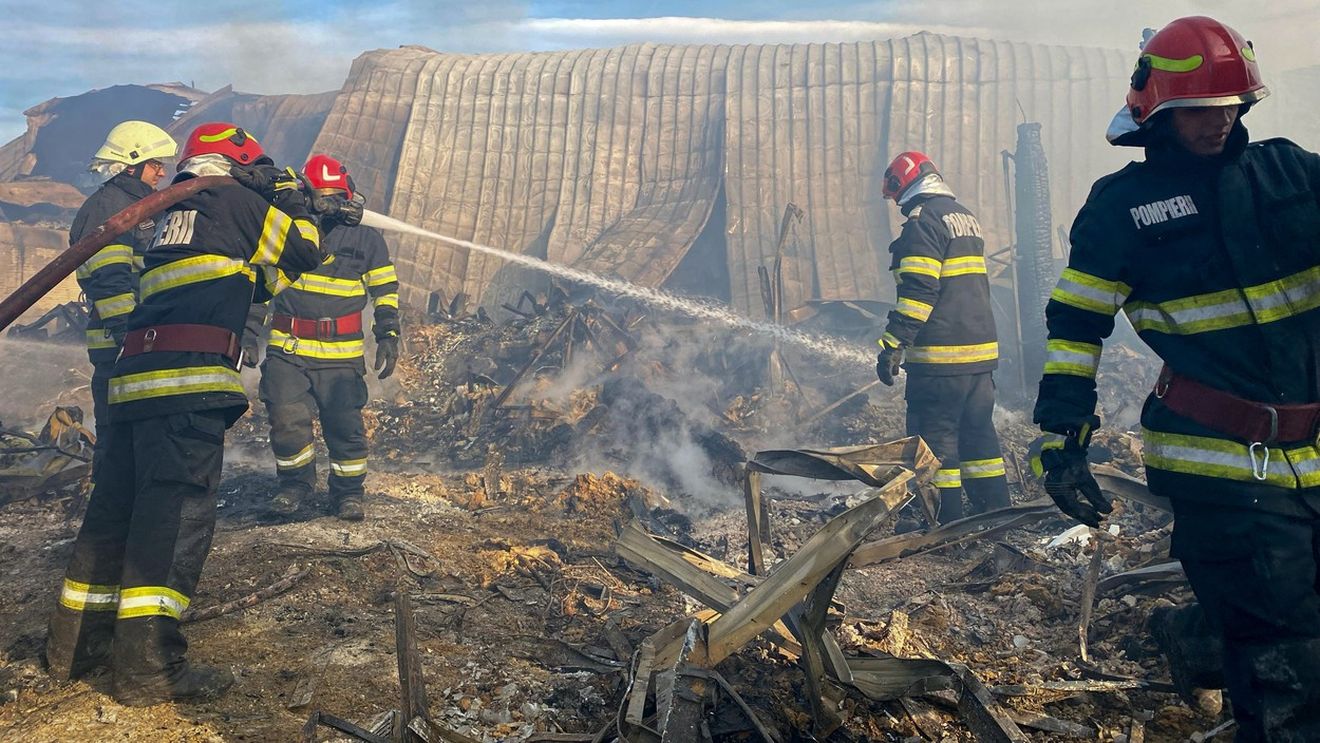 Procurorii mută decisiv! Patronul și administratorii de la Ferma Dacilor, reținuți pentru 24 de ore