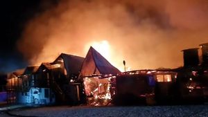 Ce a încercat să facă patronul de la Ferma Dacilor pentru a scăpa de arest! Decizia judecătorilor a venit imediat