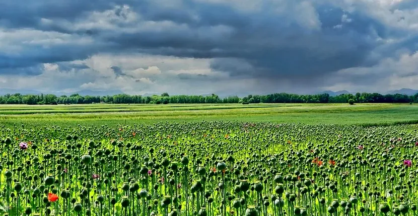 Prognoza meteo 2 mai 2020: vreme instabilă în toată țara