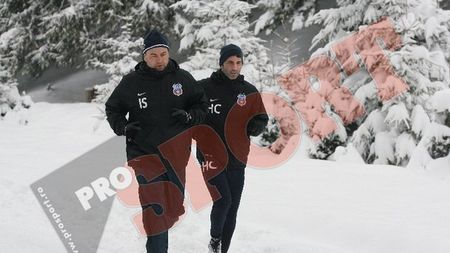 Steaua se pune la adăpost de încă o țeapă:** "Dacă nu face față, nicio problemă!" Vestea cea mare pentru fani: idolul lor e soluție salvatoare