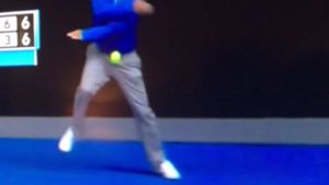 Ferește-te, vine! VIDEO | Un arbitru de linie a oferit faza zilei la Australian Open. Cum s-a "descurcat" cu o minge trimisă de Tomas Berdych