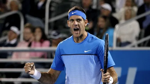 Juan Martin del Potro a câștigat turneul de tenis de la Stockholm! DelPo își continuă revenirea spre vârful ierarhiei ATP