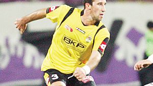 2010 - Timișoara romena 100%!