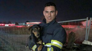 A fost unul dintre cei mai buni juniori de la Astra, dar s-a reprofilat și astăzi salvează vieți: „Îți pui viața în pericol în timpul intervențiilor!”. „Cel mai bun prieten din copilărie al lui Theo Rose” vorbește despre cruda realitate a fotbalului românesc din perioada petrecută la fosta campioană a României: „Aveam salariu de 1500 de lei, iar rezervele mele câștigau 1500 de euro. Mi s-au făcut promisiuni că voi fi luat la seniori, m-au trimis la Liga 3” | EXCLUSIV