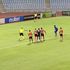 Așa penalty n-ai mai văzut! „Dansul” până la punctul cu var a durat o eternitate