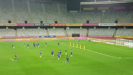 Pericol pentru naționala lui Daum înainte de meciul decisiv cu Danemarca! | FOTO cu suprafețele mucegăite ale terenului de pe Cluj Arena: Schmeichel a fost prins "în ofsaid" și invitat să părăsească zona