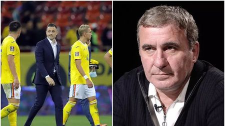 Fir-ai al naibii, Maiestate!