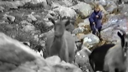 Documentar incredibil! În copilărie era oier, acum joacă finala Cupei Mondiale | VIDEO