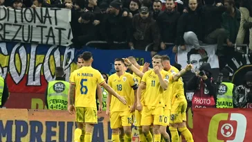 Fotbalistul dorit de Gigi Becali și Dan Șucu este apărat după ce nu a prins lotul pentru EURO 2024: „E mai valoros decât Grameni!”. VIDEO