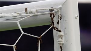 FOTO | Mii de molii au invadat Stade de France la finala Portugalia - Franța: "Și-a deschis Arsene Wenger portofelul" :)