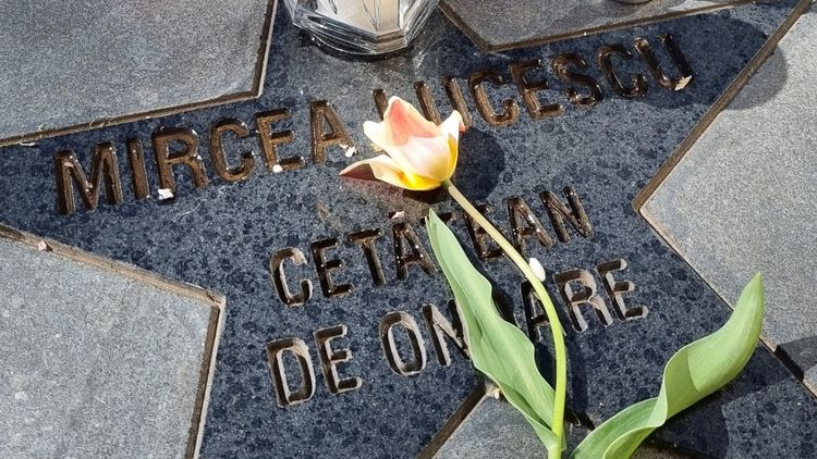 Hunedoara va fi în doliu în ziua înmormântării lui Mircea Lucescu! ”A fost, este şi va rămâne mereu unul dintre cei mai iubiţi hunedoreni”