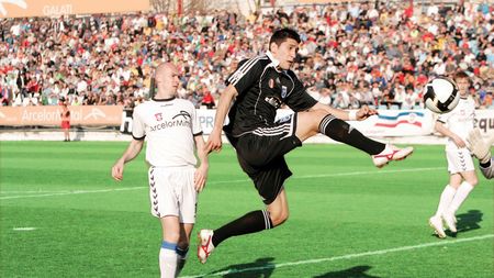 Să vină „câinii"!