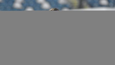 Rusescu vs. Dică, ultimul dezacord din fotbalul românesc. "Ruse" și-a contrazis fostul antrenor, Becali a intervenit în conflict: "Cu toată dragostea, el are dreptate!"