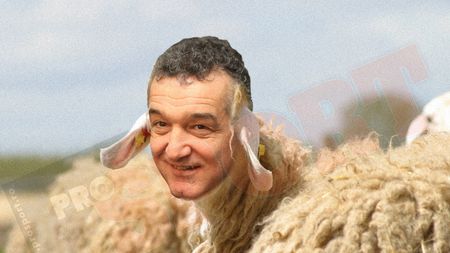 Porumboiu: "Când Dragomir s-a încruntat la Gigi,** s-a transformat în mielușel!"