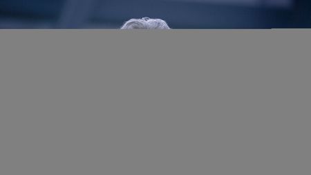 Detalii din interiorul vestiarului FCSB. Anunț cât se poate de sincer despre fotbalistul "exilat" de Becali